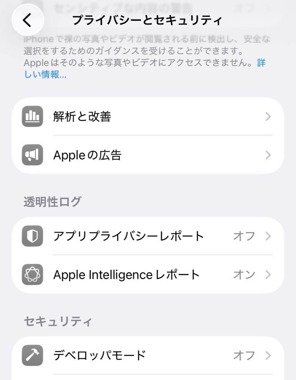 プライバシーとセキュリティのデベロッパモード項目
